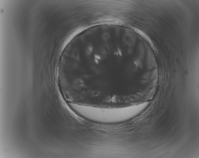 X0000086091383200704091315