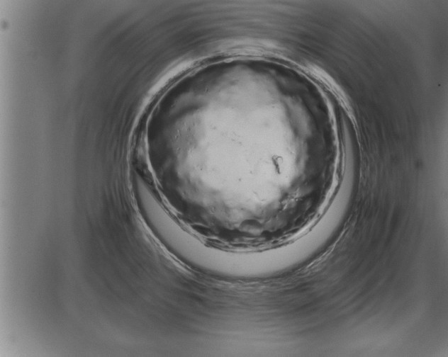 X0000086091384200704091315