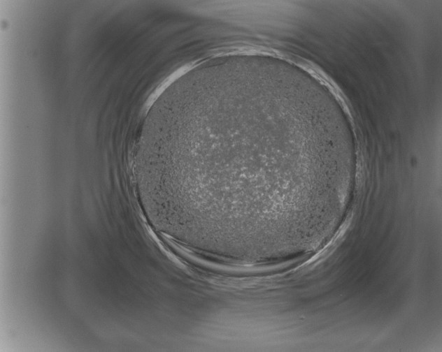 X0000086091385200704091315