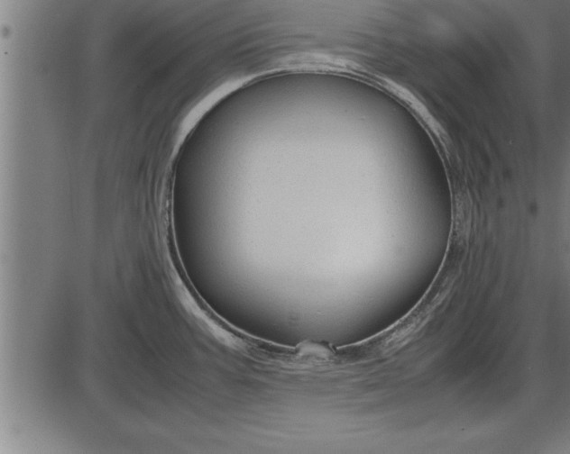 X0000086091387200704091315