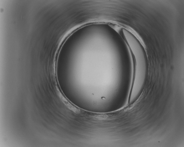 X0000086091388200704091315