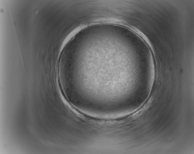 X0000086091389200704091315