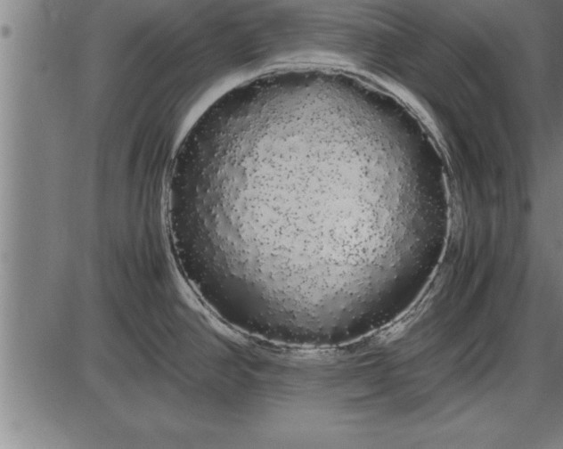 X0000086091390200704091315