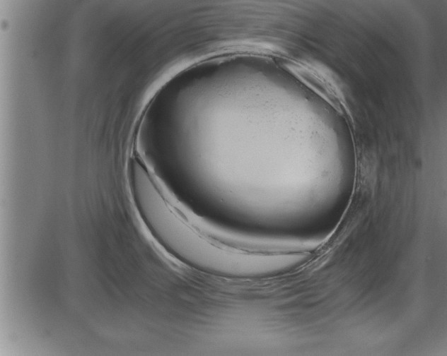 X0000086091391200704091315