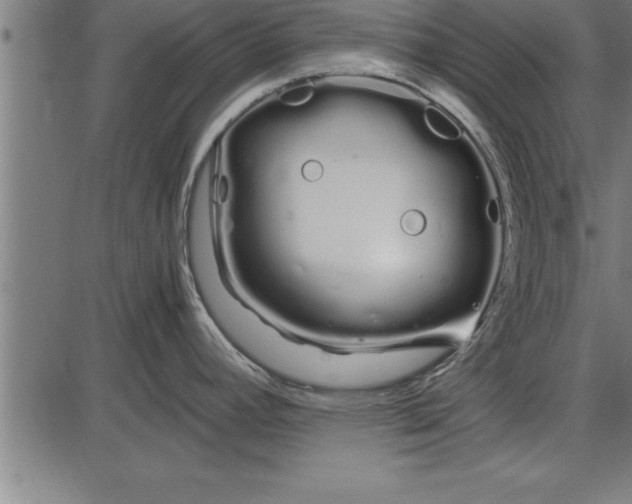 X0000086091392200704091315