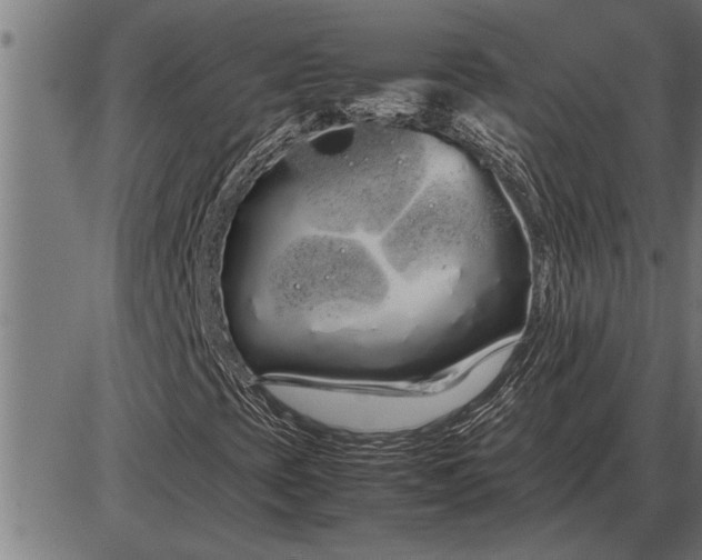 X0000086091393200704091314