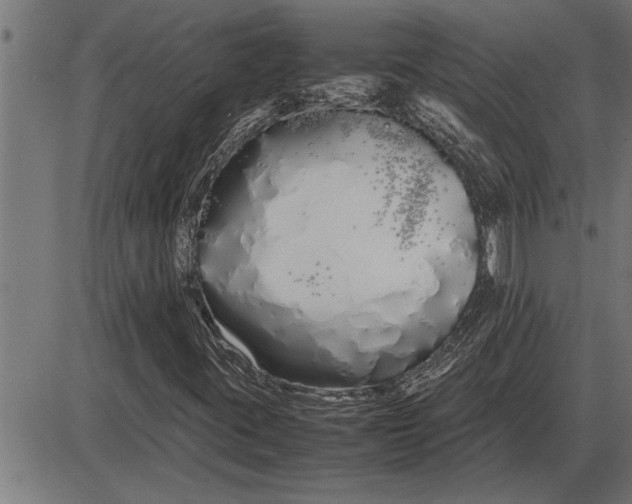 X0000086091395200704091314