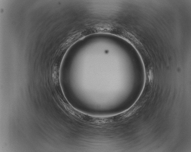 X0000086091396200704091315