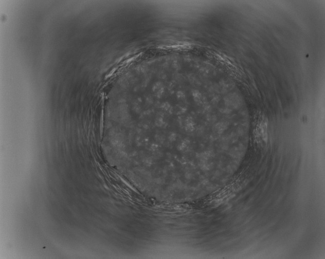 X0000086091397200704091315