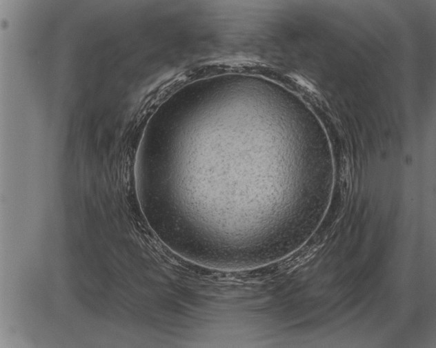 X0000086091398200704091315