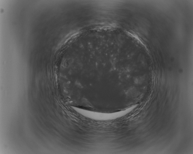 X0000086091399200704091315