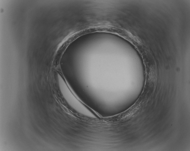 X0000086091400200704091315