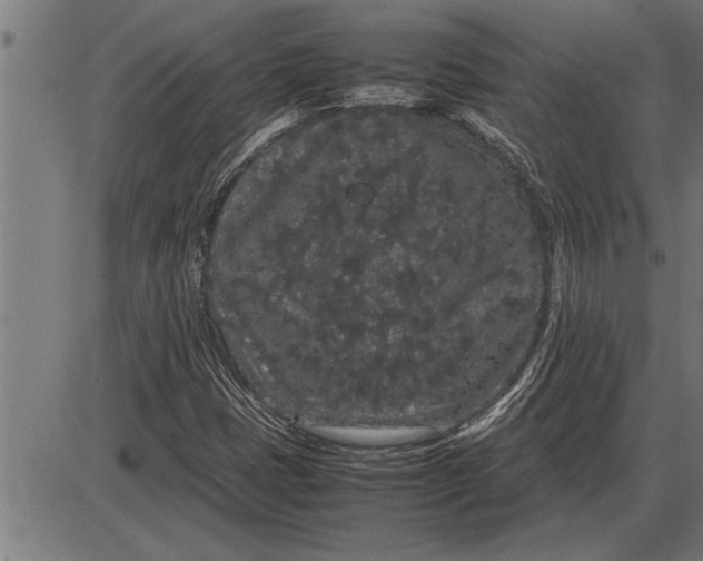 X0000086091401200704091315