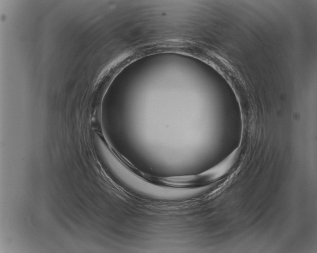 X0000086091402200704091315