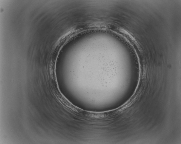 X0000086091403200704091315