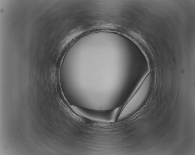 X0000086091404200704091315