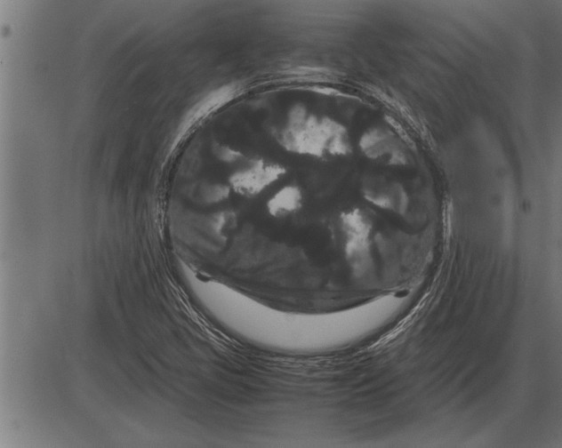 X0000086091405200704091315