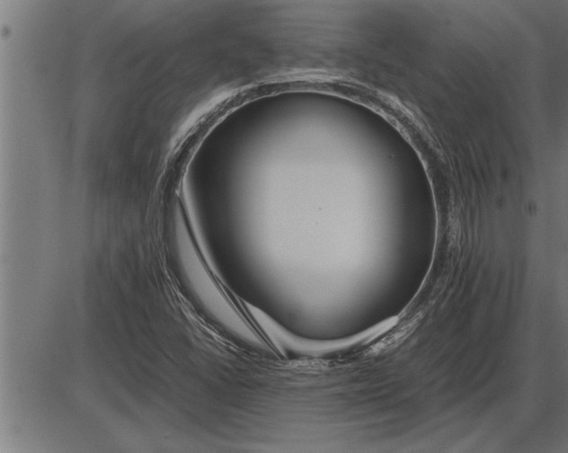 X0000086091406200704091315