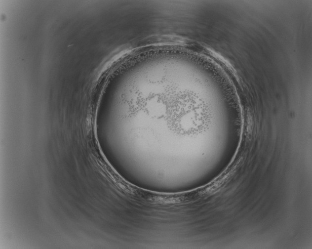 X0000086091407200704091315