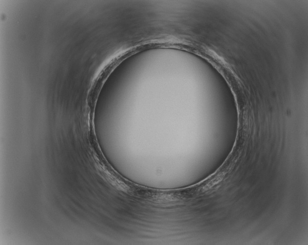 X0000086091408200704091315