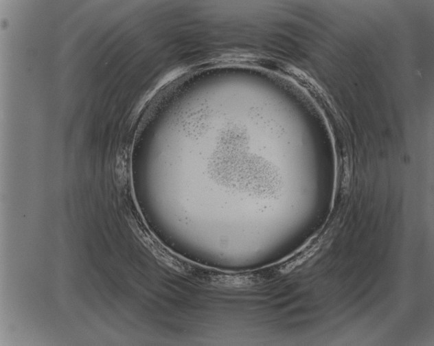 X0000086091409200704091315