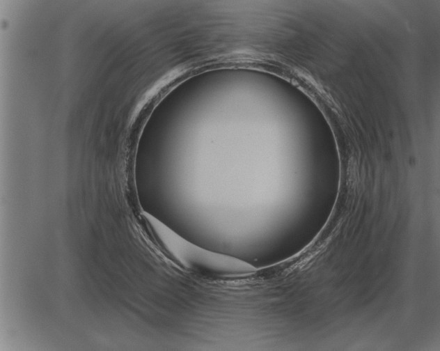 X0000086091410200704091315