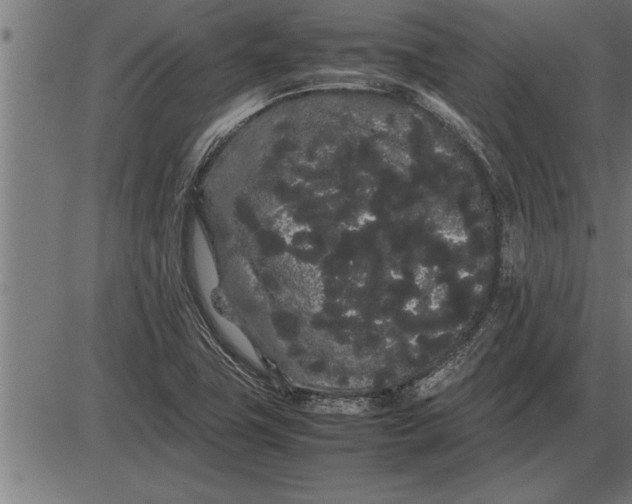 X0000086091411200704091315