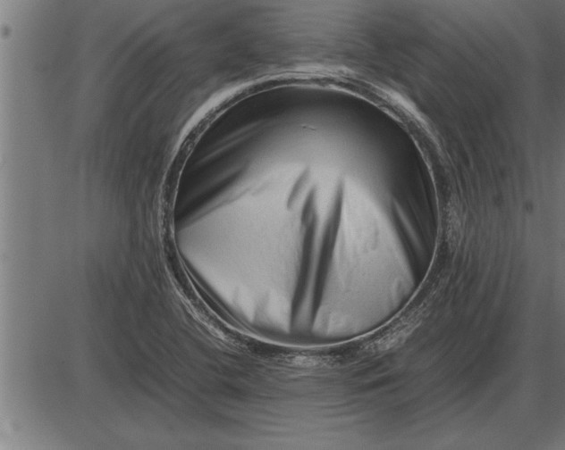 X0000086091412200704091315