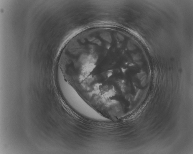 X0000086091413200704091315