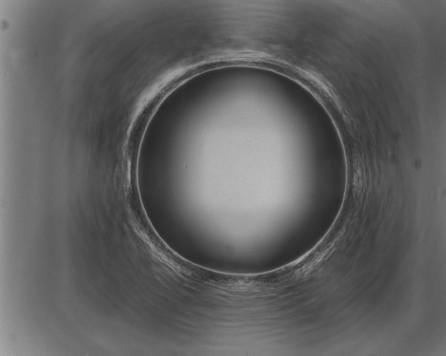 X0000086091414200704091315