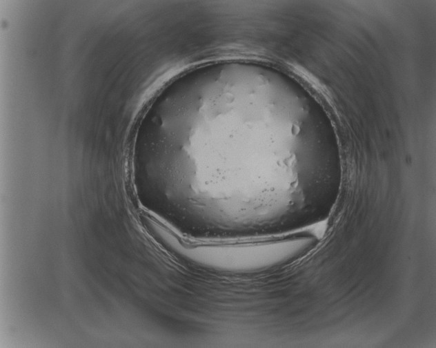 X0000086091415200704091315