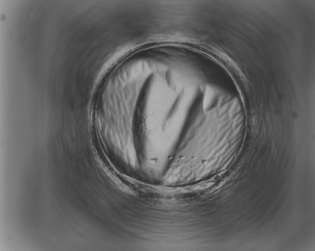 X0000086091416200704091315