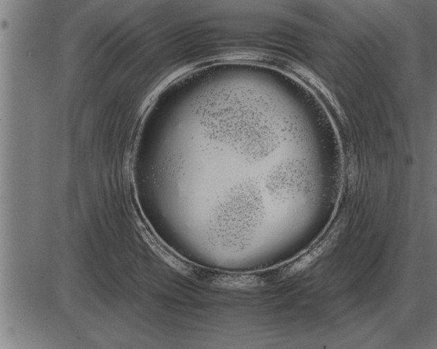 X0000086091417200704091315