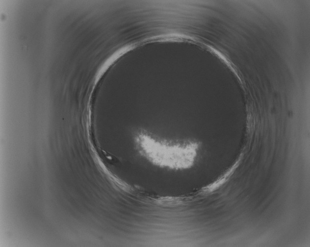 X0000086091418200704091315