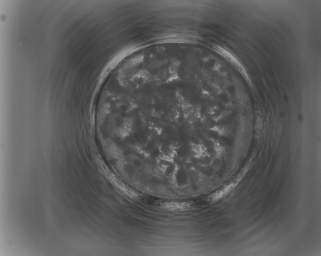 X0000086091419200704091315