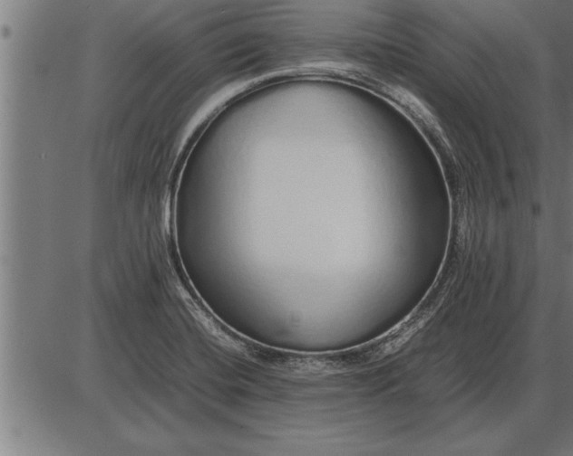 X0000086091420200704091315