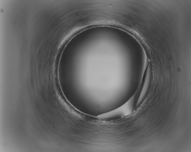 X0000086091422200704091315