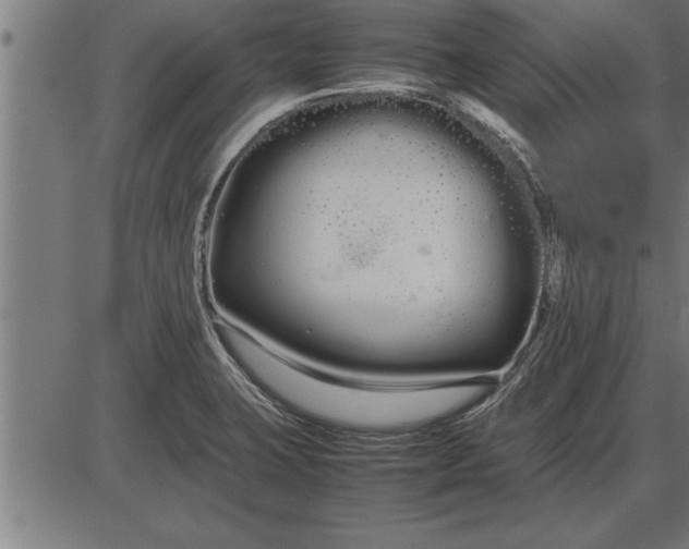 X0000086091423200704091315