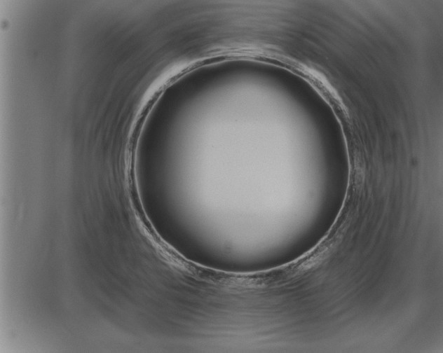 X0000086091424200704091315