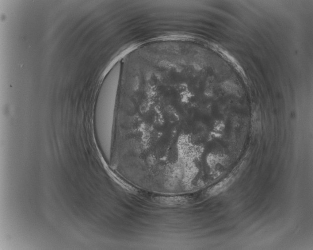 X0000086091425200704091315