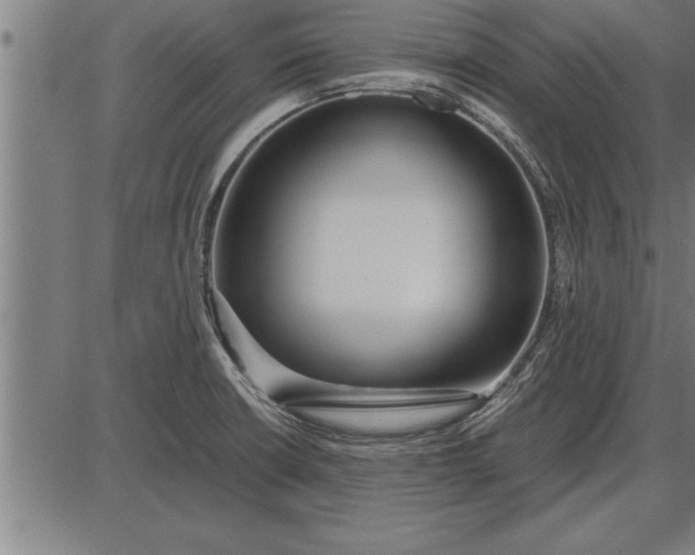 X0000086091426200704091315