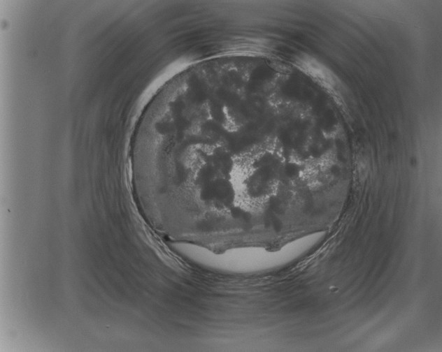 X0000086091427200704091315