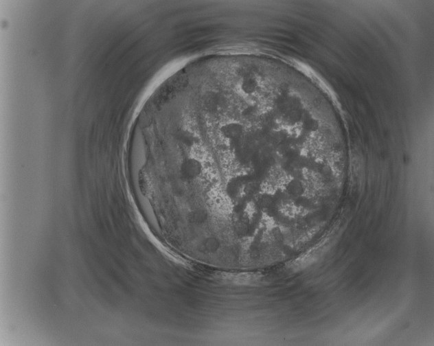 X0000086091429200704091315