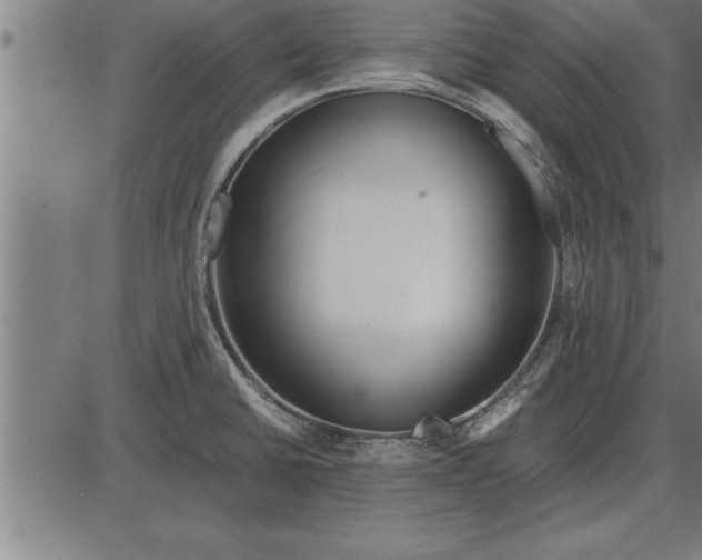 X0000086091430200704091315