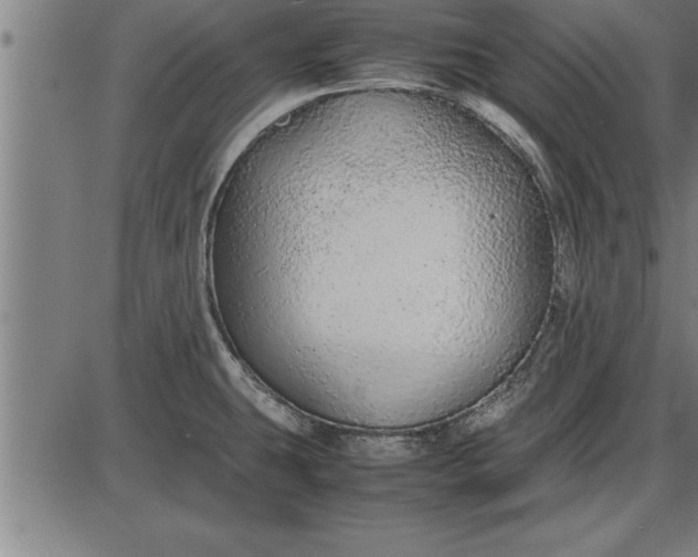 X0000086091431200704091315