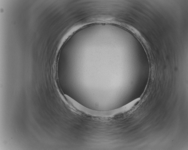 X0000086091432200704091315