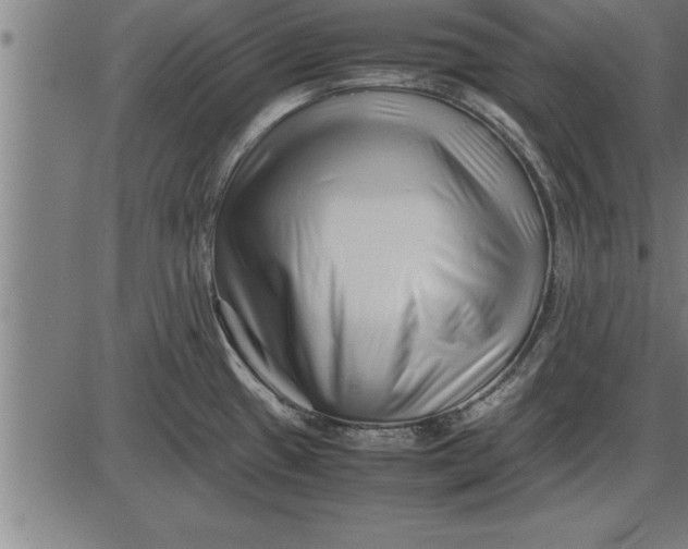 X0000086091433200704091315