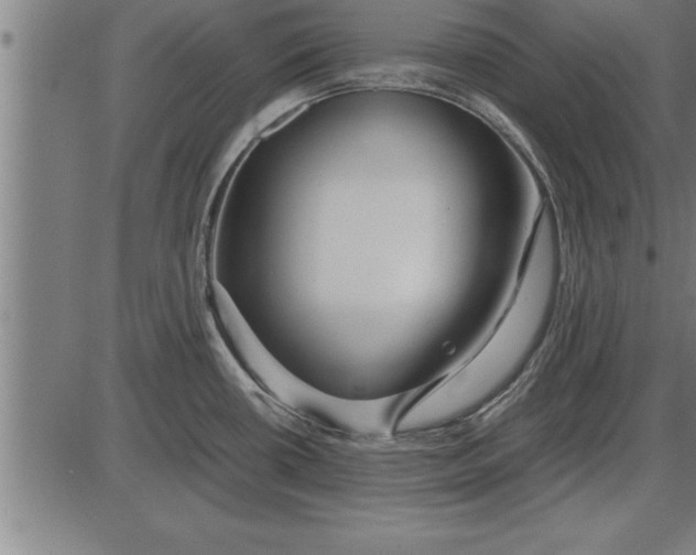 X0000086091434200704091315