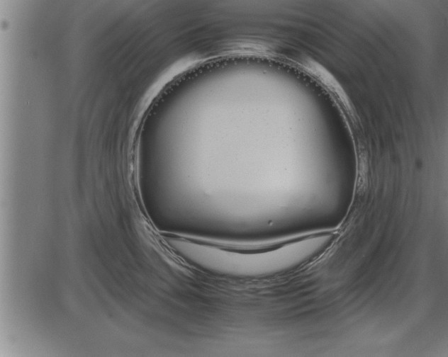 X0000086091435200704091315