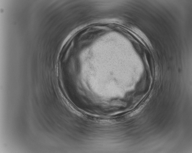 X0000086091436200704091315